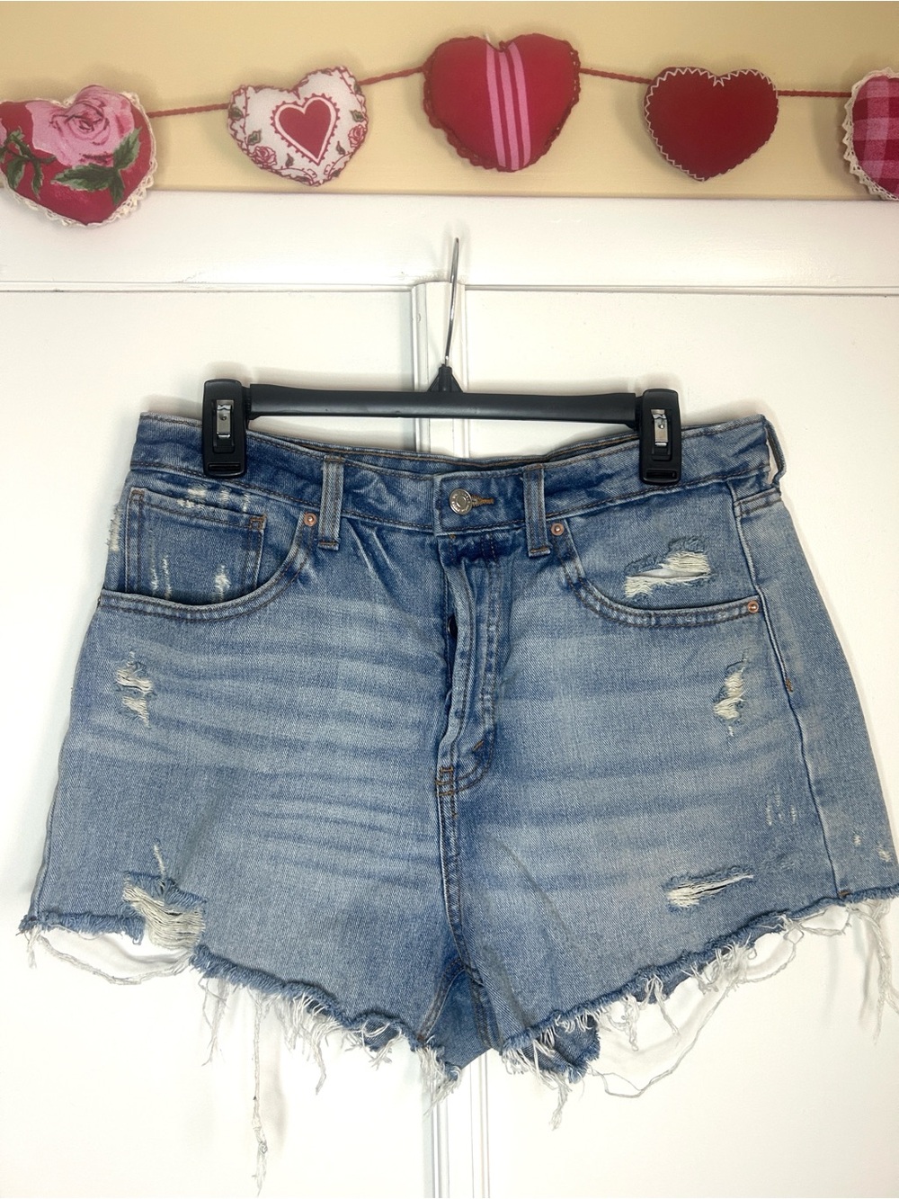 Wild Fable Distressed Button Fly Denim Shorts